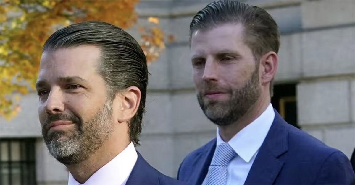 'Far from crazy': Expert sees path for Trump to blame sons and allies for hush money crime