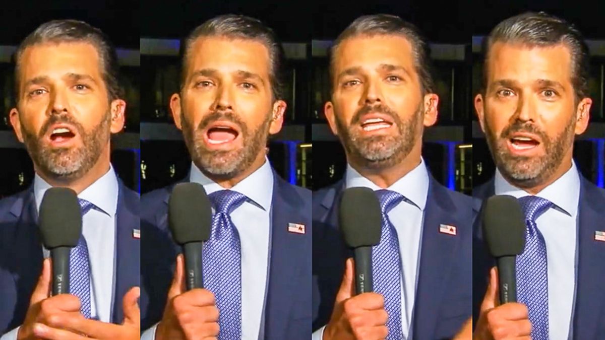 ‘Criminal conspiratorial intent’: Legal experts stunned Trump Jr. claimed ‘operational control’ over election results