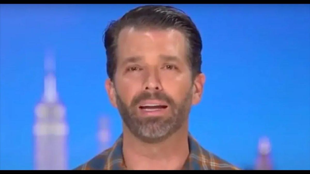 Donald Trump Jr. served with lawsuit for witness intimidation of Alexander Vindman