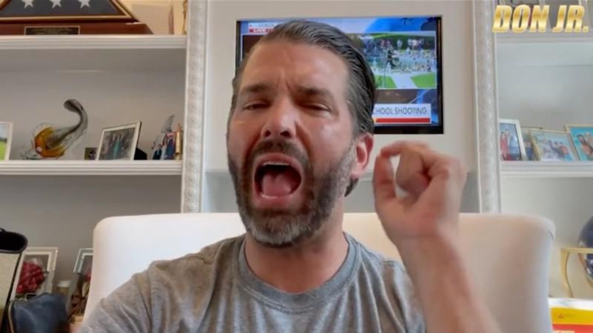 Trump, Jr. lashes out at 'crazy teachers' as an 'actual cause' of school shootings