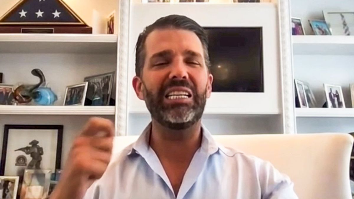 ‘Like the start of the Bolshevik Revolution’: Don Trump Jr. unspools after being found liable for fraud