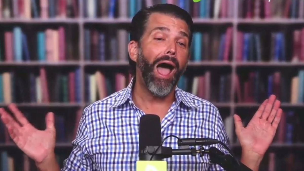 'Not a bad idea': Donald Trump Jr. floats 'mandatory' sterilization for Democrats