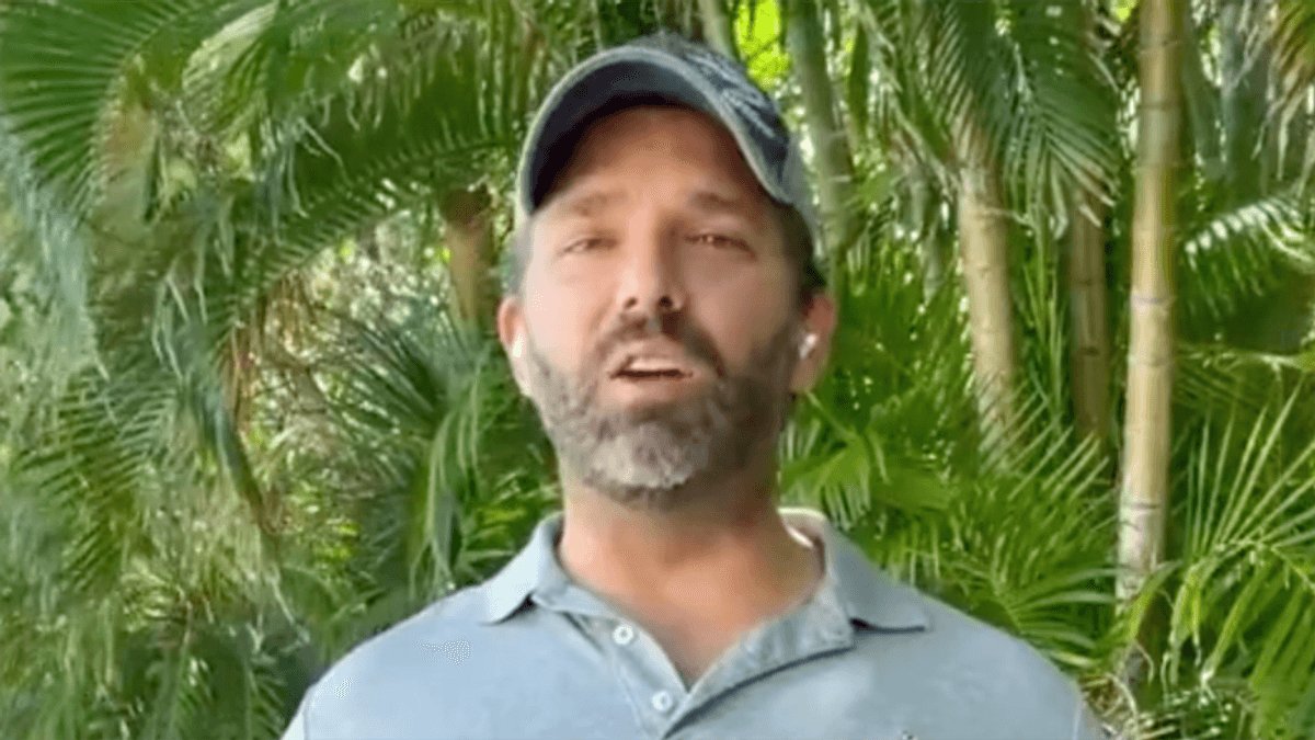 WATCH: Trump Jr. pushes conspiracy theory the U.S. military is 'literally attacking American civilians'