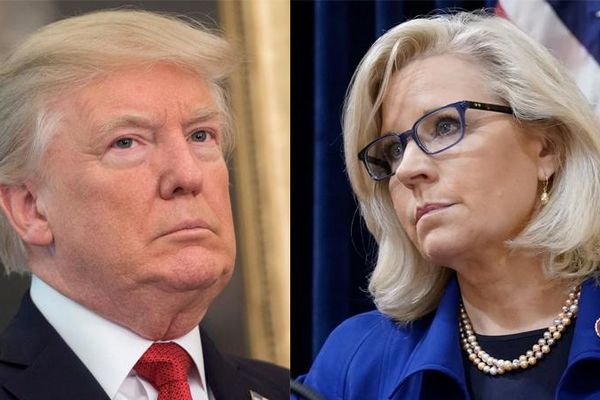 'Not a stable adult': Liz Cheney tells Trump exactly what makes him 'not fit for office'
