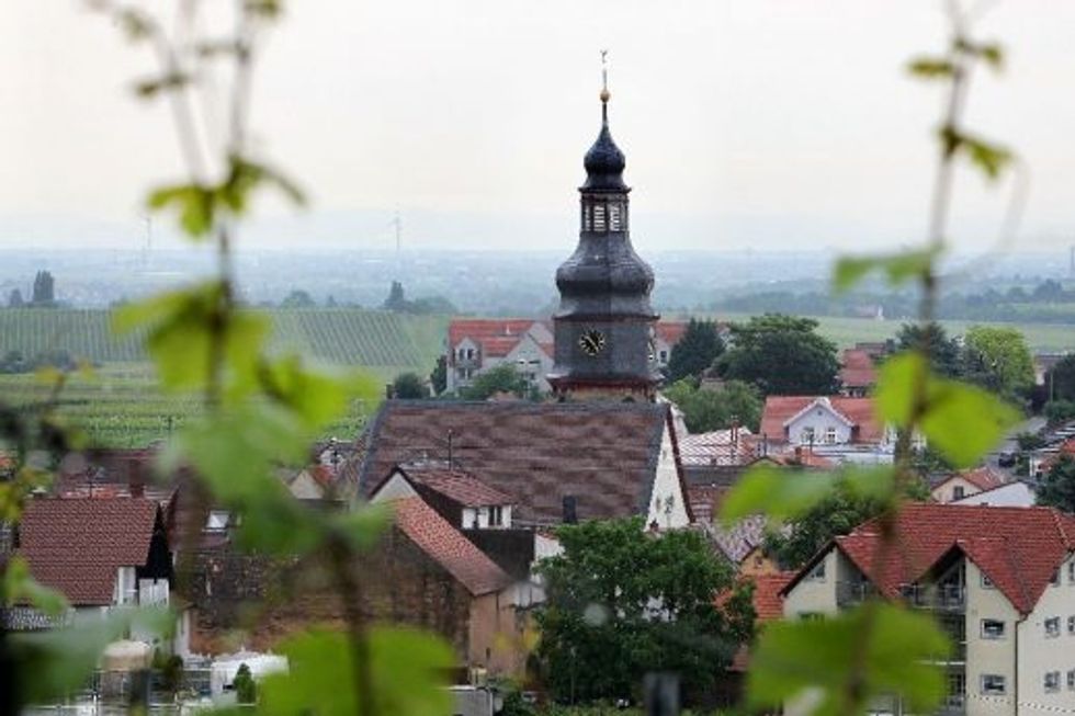 Donald Trump's grandparents grew up in this hamlet nestled in Germany's southwest Kallstadt owes its reputation to crisp white wines, stunning hiking trails and the local delicacy of pig's stomach (Saumagen). The village is also home of ancestors of the presumptive designated presidential US candidate of the Republican Party Donald Trump. (AFP Photo/Daniel Roland)