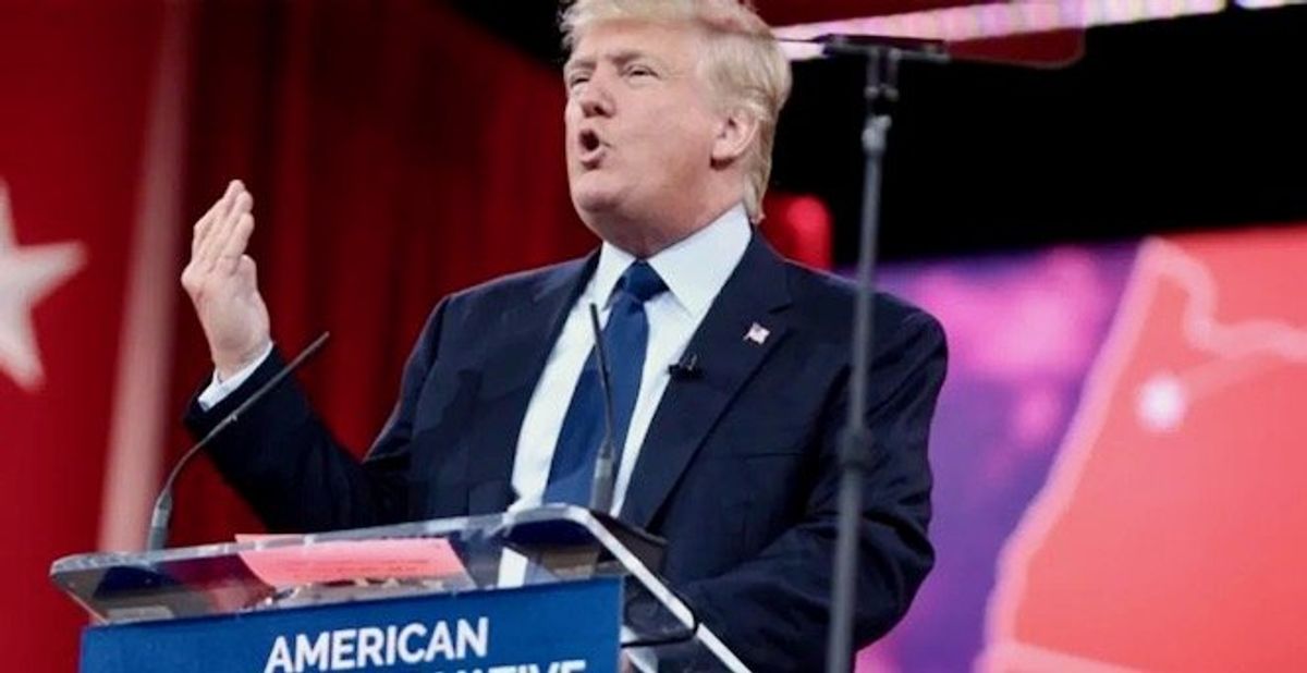 'Disgusting': New York Times shamed for calling Trump's Gaza relocation plan 'audacious'