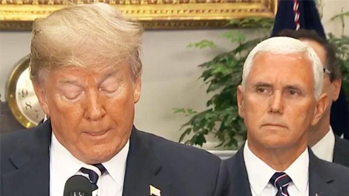 'Is there no low to which you will not stoop?': Mike Pence flattened for siding with the 'mob' over the government