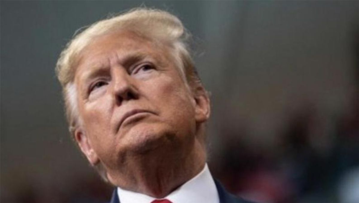 'They don’t like Donald Trump. They never liked him': GOP leaders want 'weakened' Trump gone
