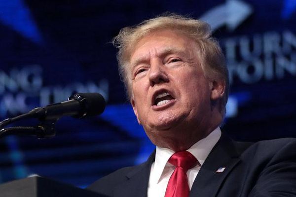 Trump's 'you won't have to vote anymore' rant more 'bonkers' than you realized: analysis