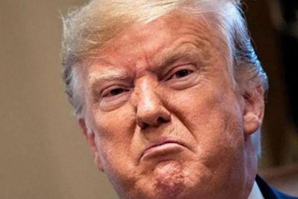 Trump's former sister-in-law refused to use the Trump name for a gala fundraiser: report