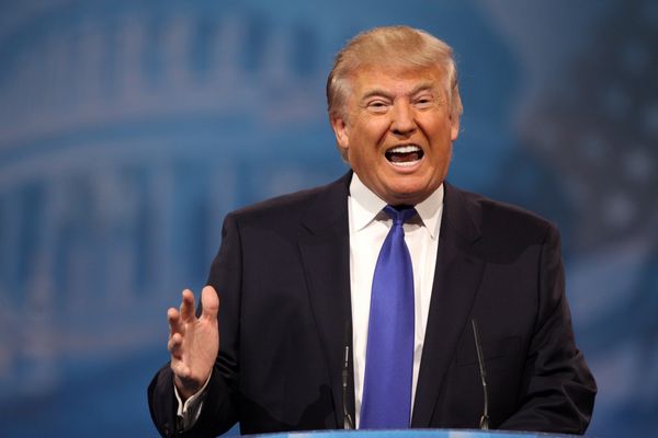 How Trump's use of language gave him 'a great advantage over his rivals': report