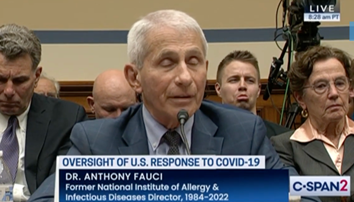 Jan. 6 rioter pulls faces behind Fauci as doctor tells Congress about death threats