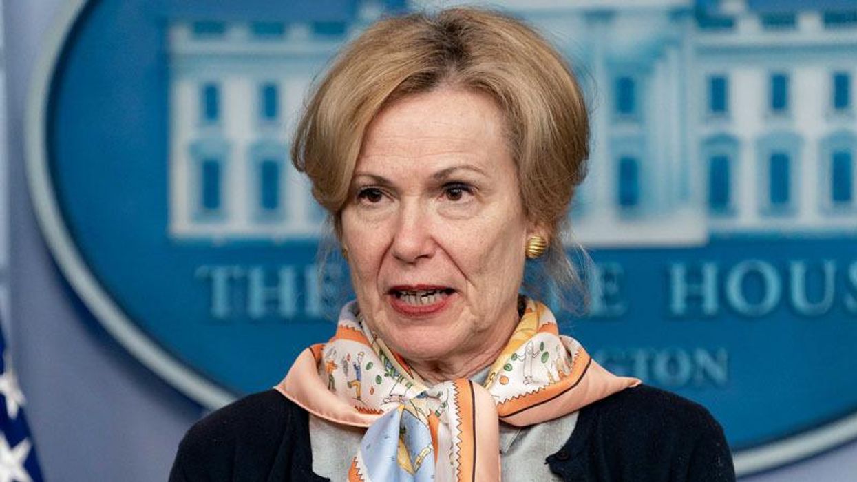 Deborah Birx's book trashed in scathing editorial: She 'waited to warn about Trump until damage was done'