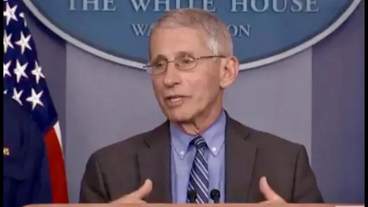 ‘The guy should be fired on the spot’: Dr. Fauci fires back at 'kill shot' comment from Fox News host