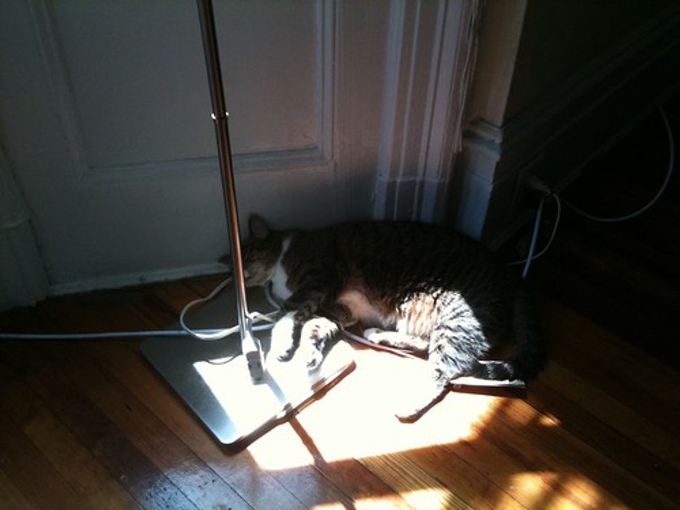 Dusty sunbeam