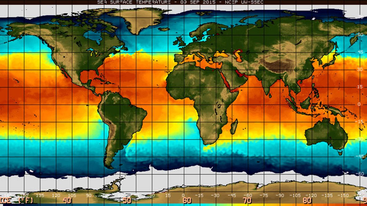 Meteorologist resigns after receiving death threats for climate change coverage