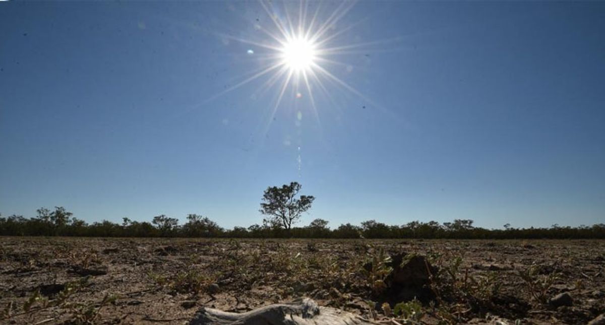 How El Niño could impact health, food and the economy