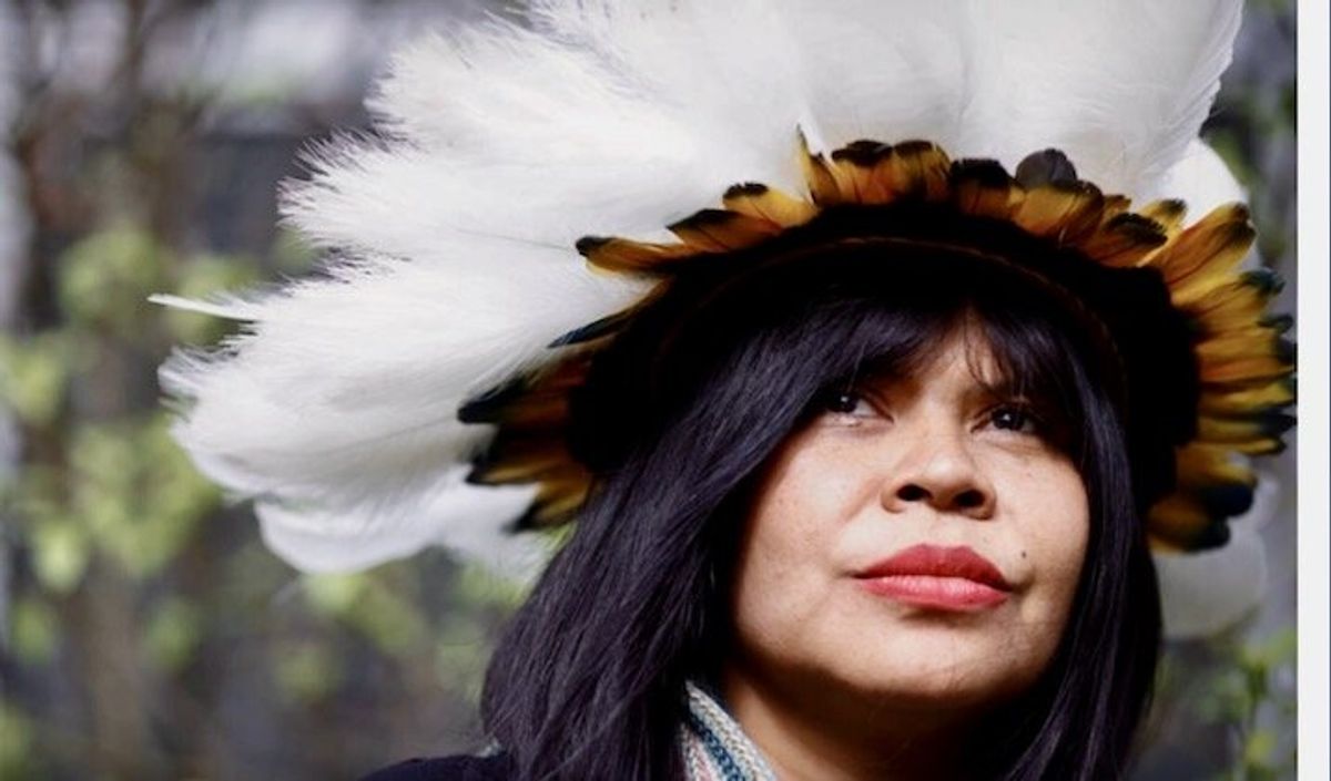 Brazil's Indigenous people turn to EU to save their savanna