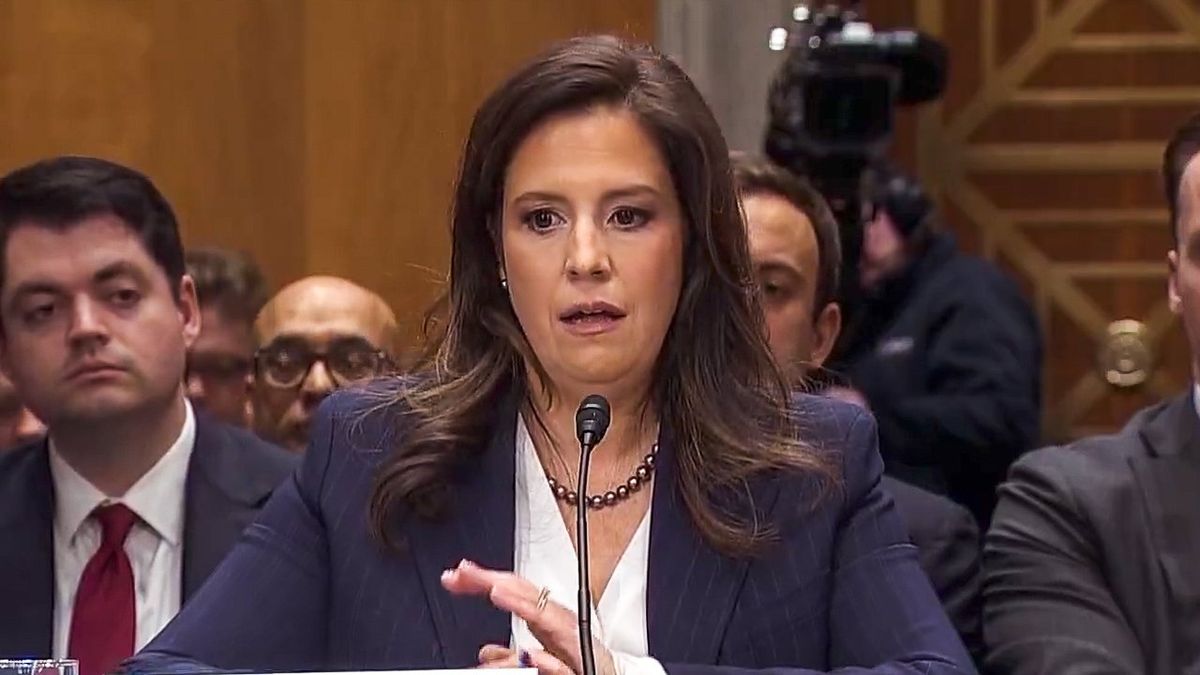 'Elon Musk did not do those salutes': Trump nominee denies CEO made 'fascist' gestures