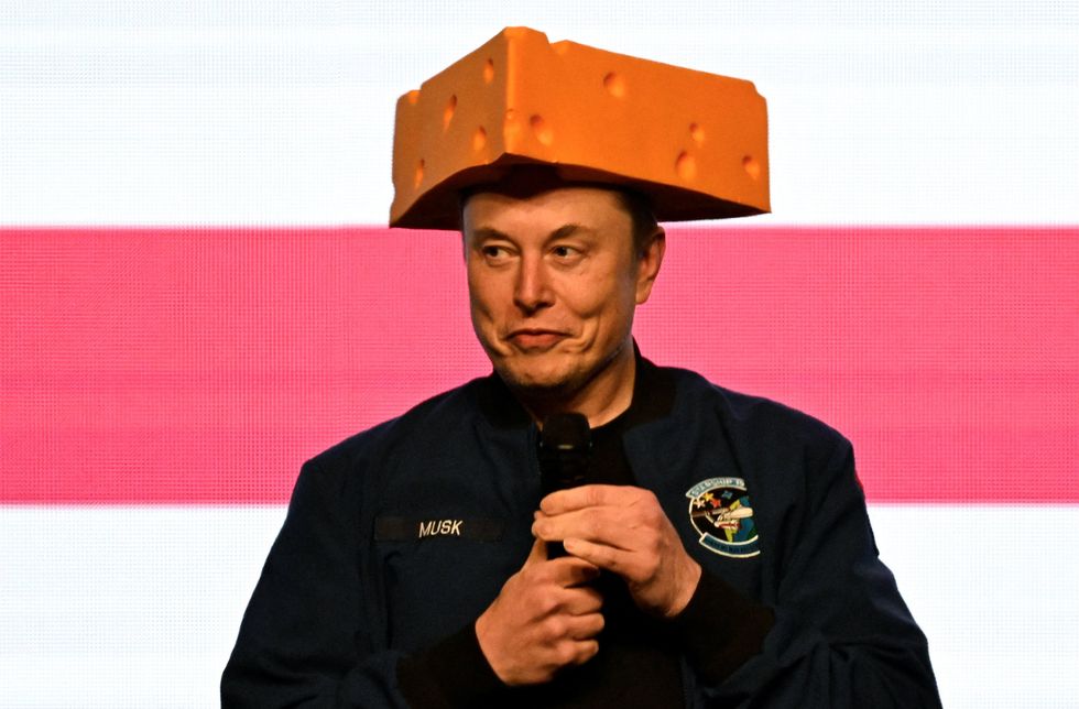 Elon Musk cheese hat