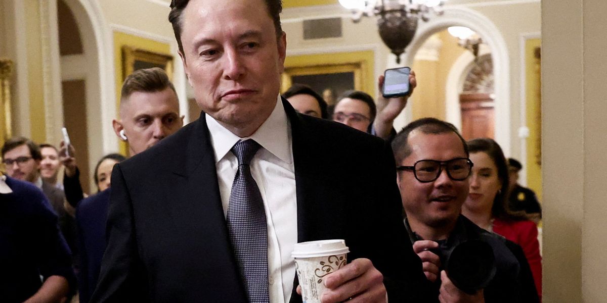 'We are public servants, not Elon’s servants': Leakers hit back at DOGE