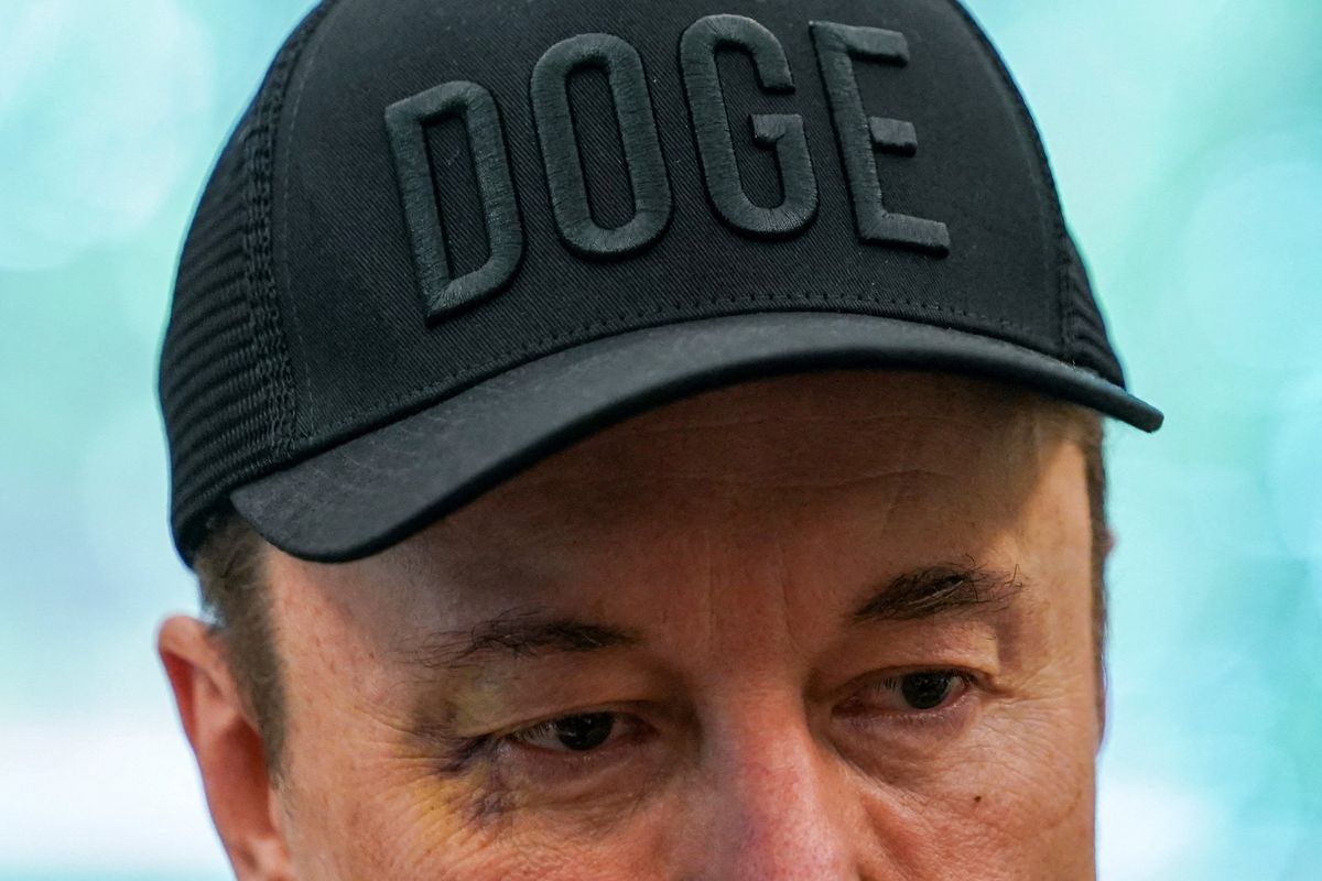 'One of the dumbest people on earth!' Congress member goes scorched earth on Elon Musk