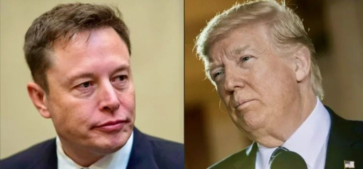 Here's the exact law Elon Musk may be breaking by offering to pay voters: expert