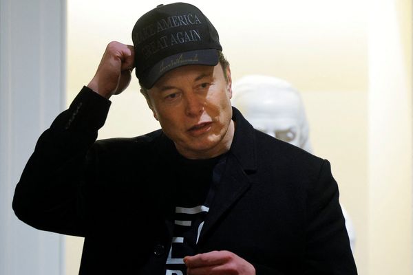 Professor flags 'underreported story' about Elon Musk's 'unorthodox power' in Trump admin