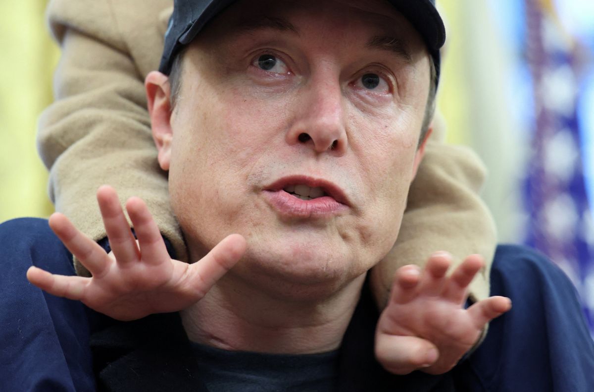 CNN fact-checker flattens Elon Musk's 'big, startling claims' from the Oval Office