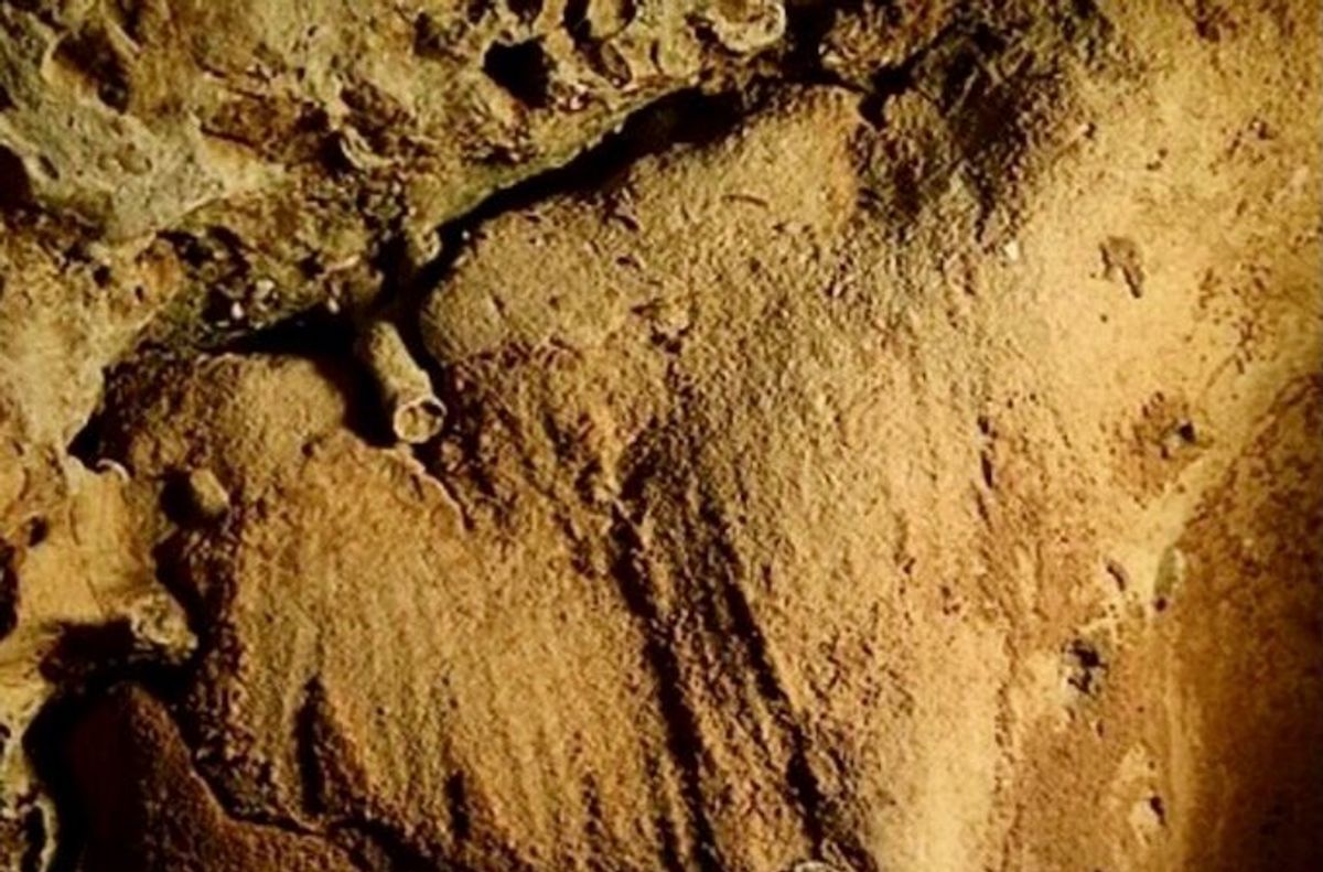 Oldest known Neanderthal engravings found in France's Loire Valley