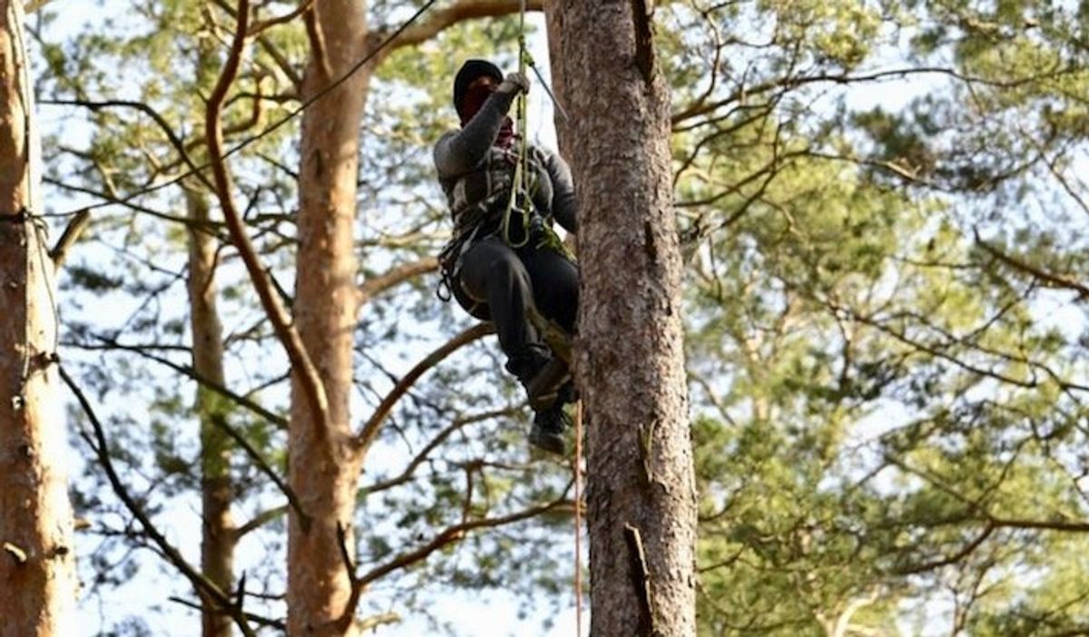 Activists occupy German forest to block Tesla expansion