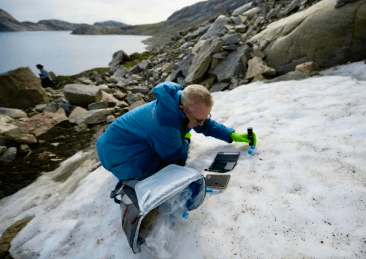 Scientists voyage to Greenland's melting sanctuary