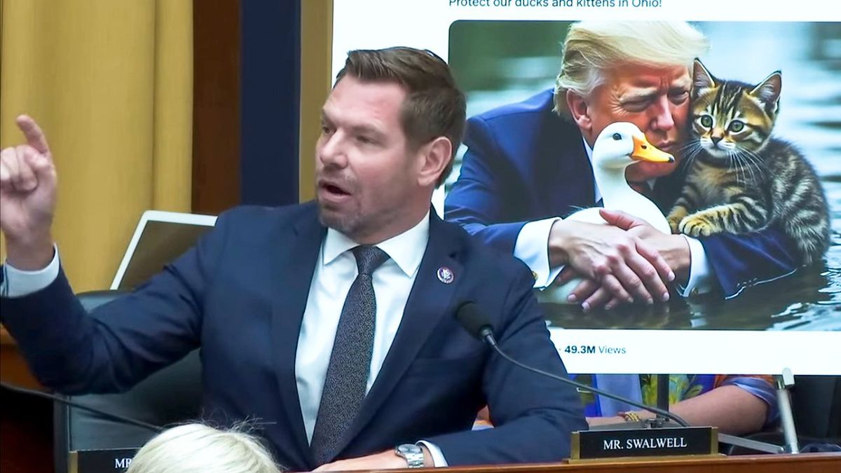 'Are you OK?' Dem confronts Jim Jordan for sharing fake image of Trump protecting a duck