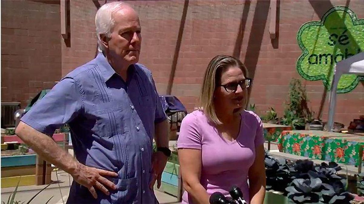 Analyst cites the numbers to prove Democrats can do better than Kyrsten Sinema in Arizona
