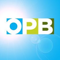 Tony Schick, Oregon Public Broadcasting and ProPublica