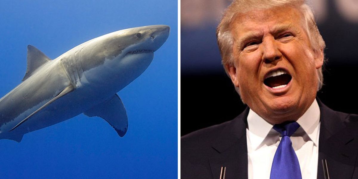 image.jpg?width=1200&coordinates=0%2C15%