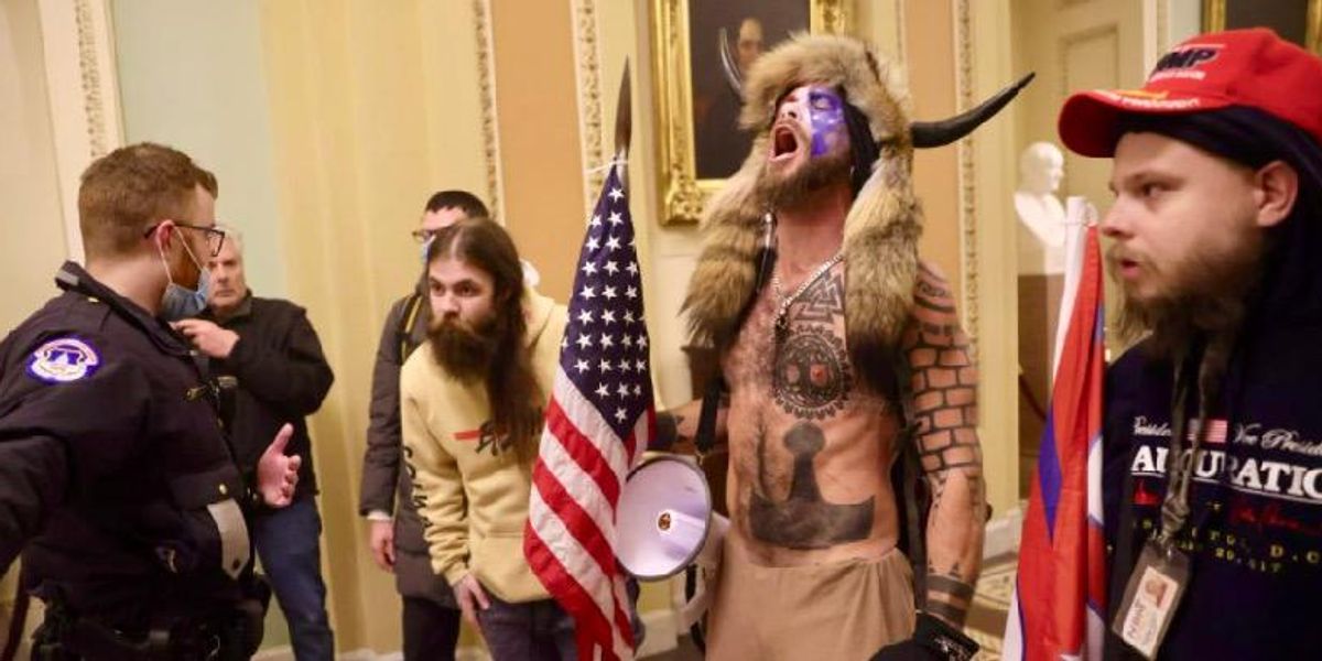 image.jpg?width=1200&coordinates=5%2C0%2