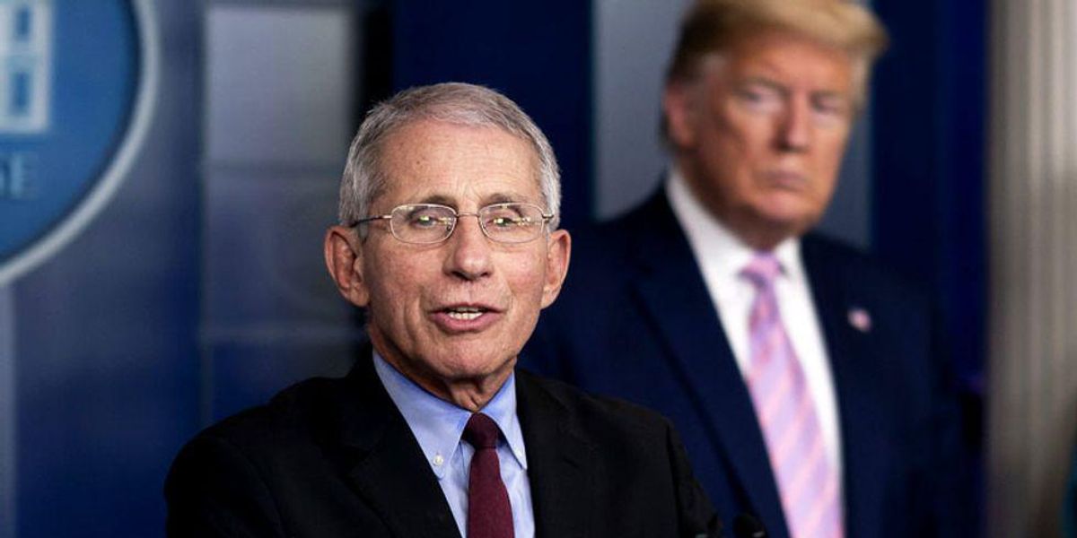 image.jpg?width=1200&coordinates=0%2C0%2