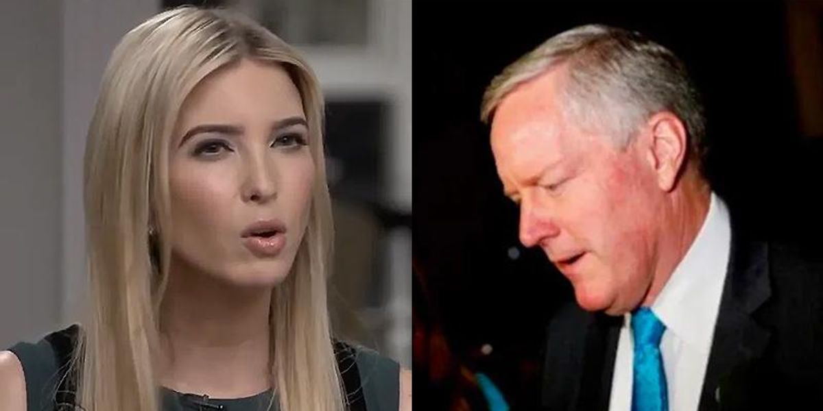 image.jpg?width=1200&coordinates=0%2C6%2