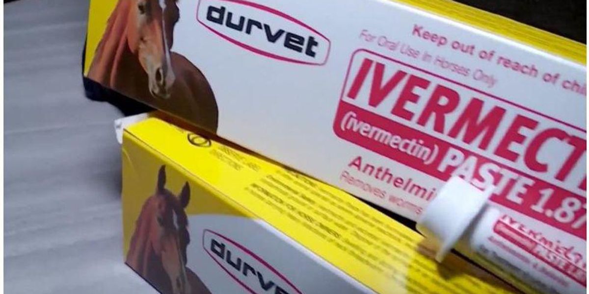 image.jpg?width=1200&coordinates=0%2C18%