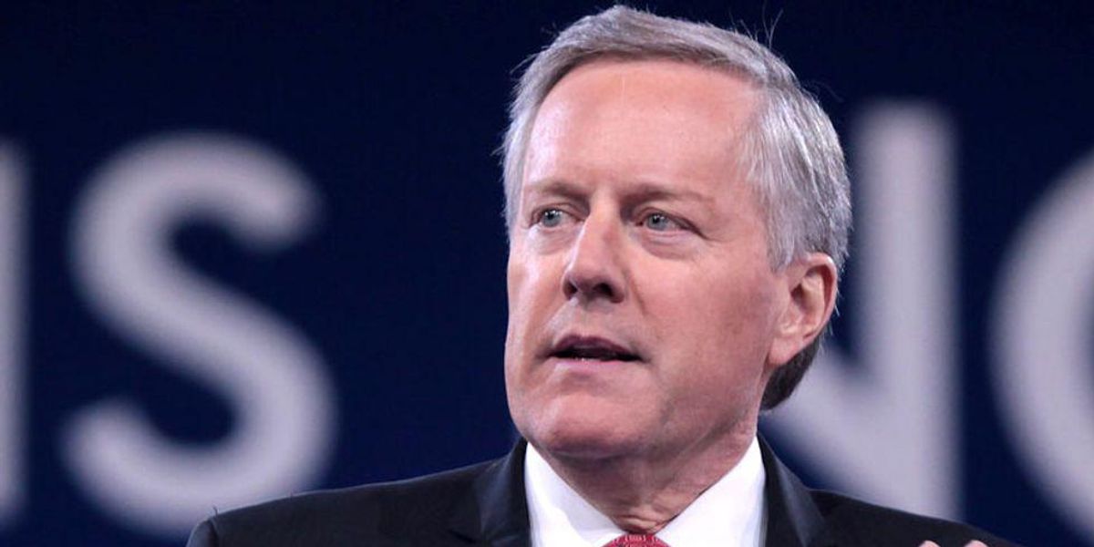 image.jpg?width=1200&coordinates=0%2C0%2