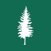 Grace Deng, Washington State Standard