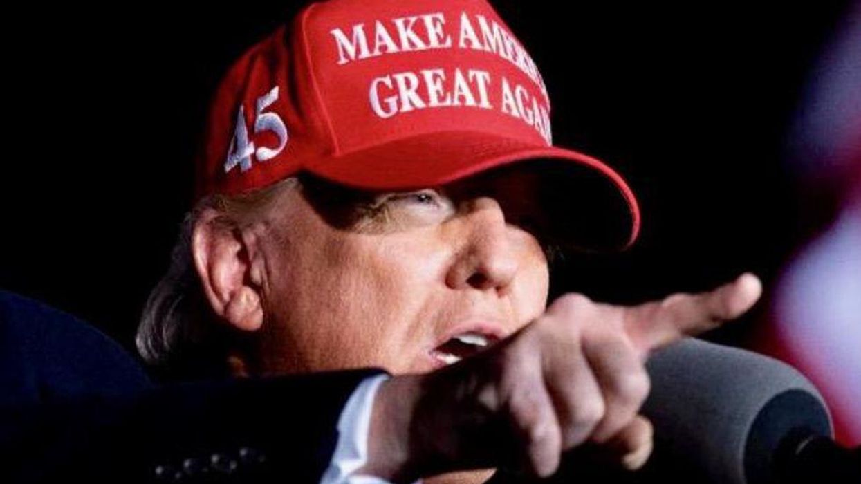 Revealed: Georgia Republicans '100%' behind Trump's push to toss election results