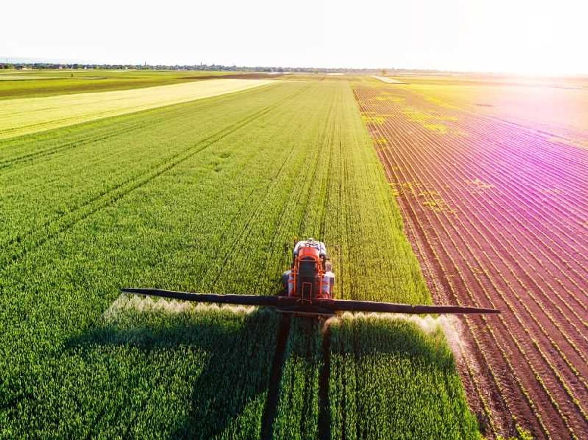 Trump nominee admitted she's 'pretending' to be a farmer for a tax break: report
