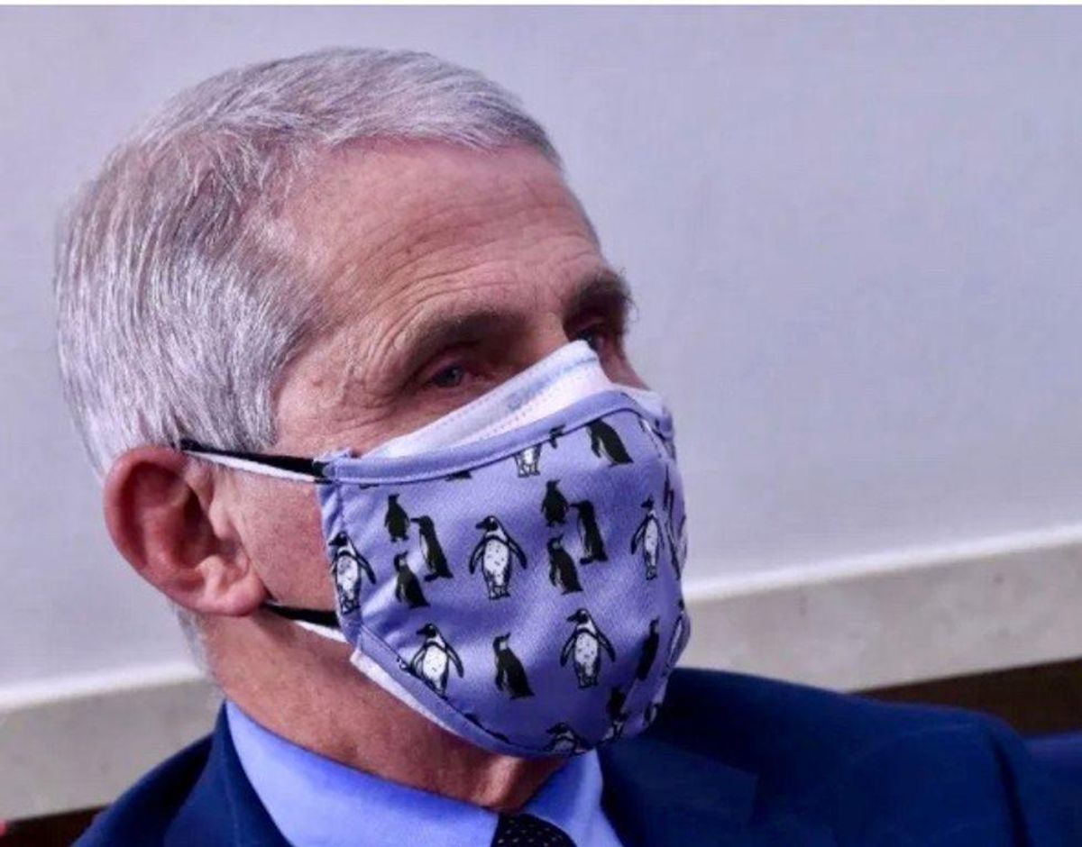Dr. Fauci warns the US 'could really be in trouble' from new COVID-19 variant even worse than Delta