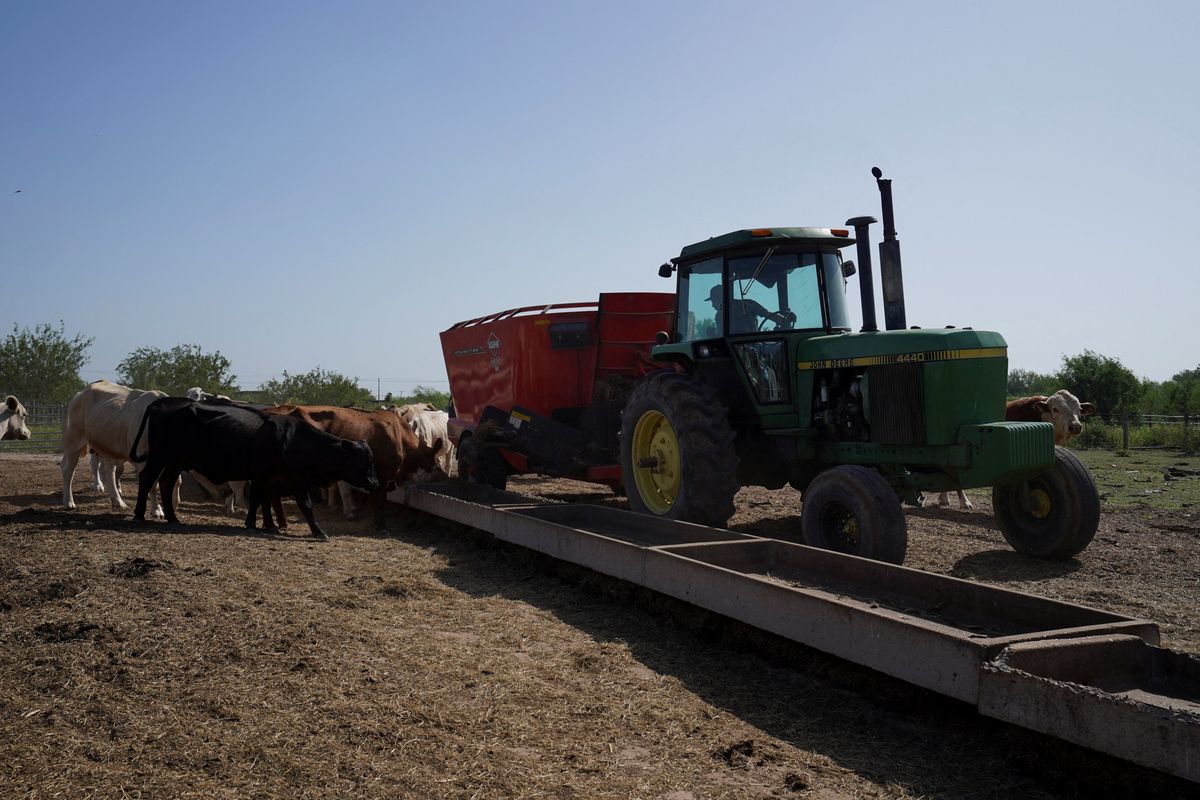 Farmer 'alarmed' by Trump mounts challenge to House Republican