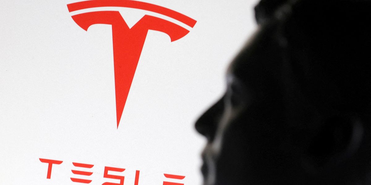 Tesla board opened 'serious' search to replace Elon Musk amid DOGE backlash: report