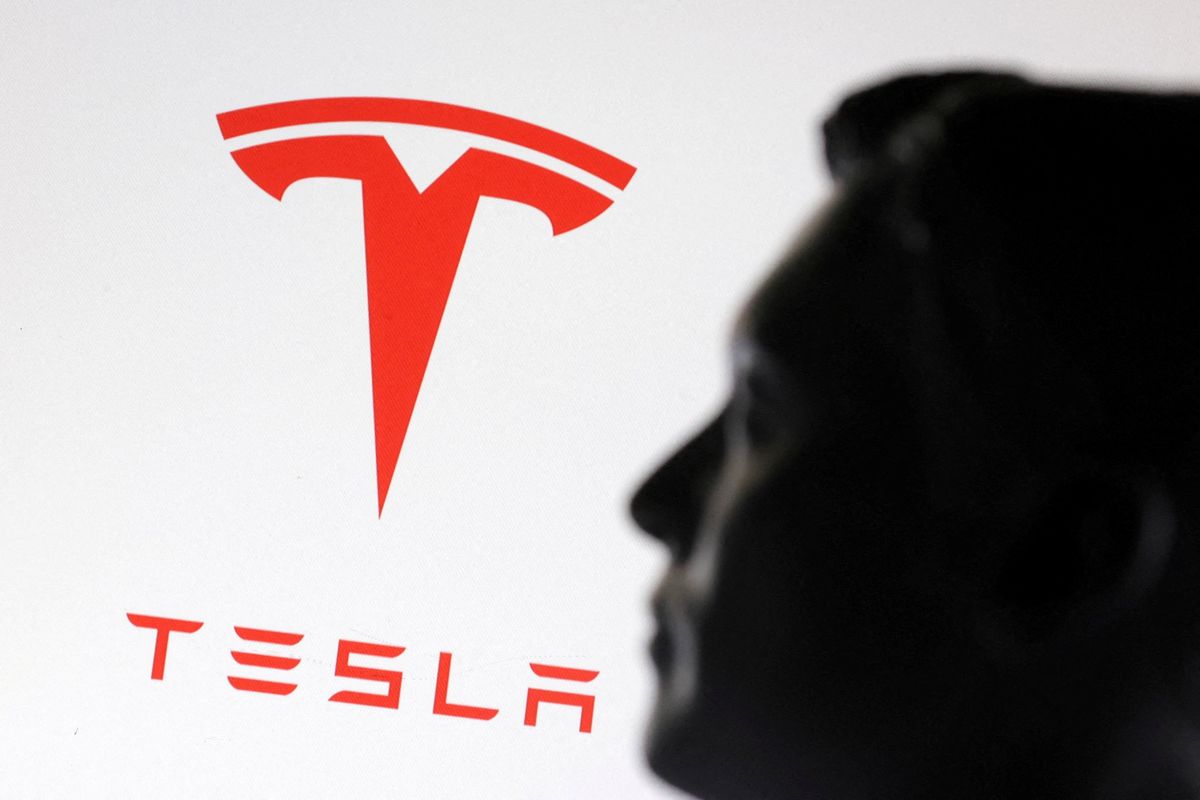 Tesla board opened 'serious' search to replace Elon Musk amid DOGE backlash: report