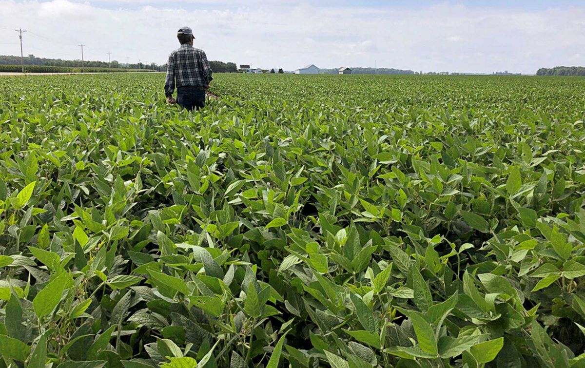 Republican in deep-red state pleads with Trump as family farm flails': Do the right thing'