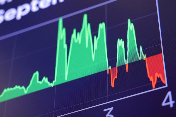 'Whoa, look at that!' CNN expert staggered as he watches stocks plunge in real-time